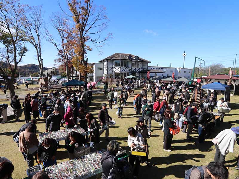 ボタニカルキャンプの様子