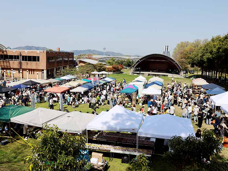 マイアイマの様子