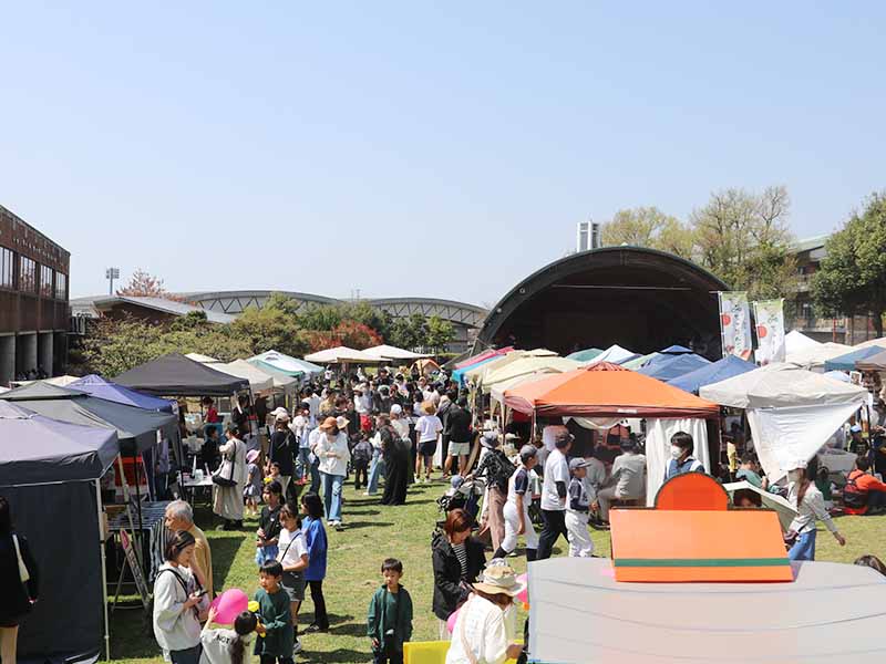 マイアイマの様子