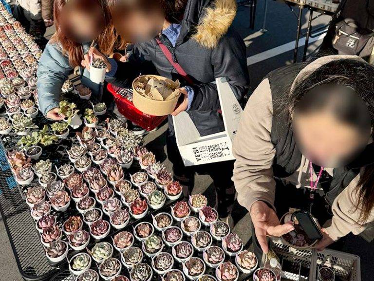 持続可能なまちづくりの一歩